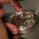 Illustration for article titled Now Available: Genetically-Modified Human Embryos